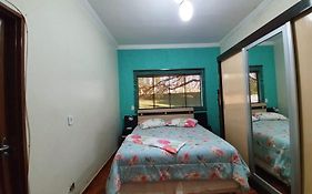 Canto da Árvore